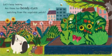 Where Is Little Kitten - Hannah (Illus) Abbo [KSIĄŻKA]