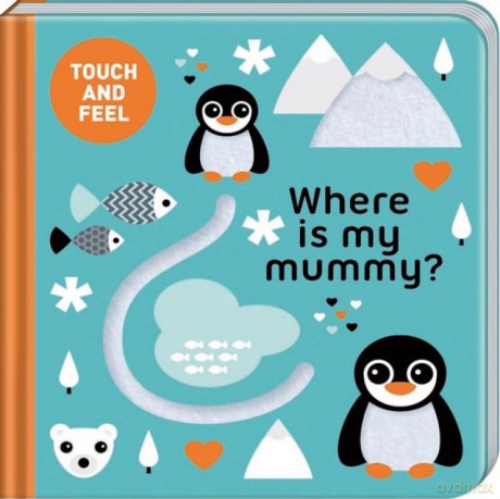 Where Is My Mummy [KSIĄŻKA]