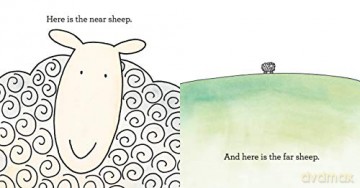 Where Is The Green Sheep - Mem Fox [KSIĄŻKA]