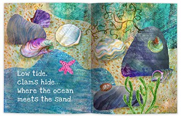 Where The Ocean Meets The Sand - Beth Costanzo [KSIĄŻKA]