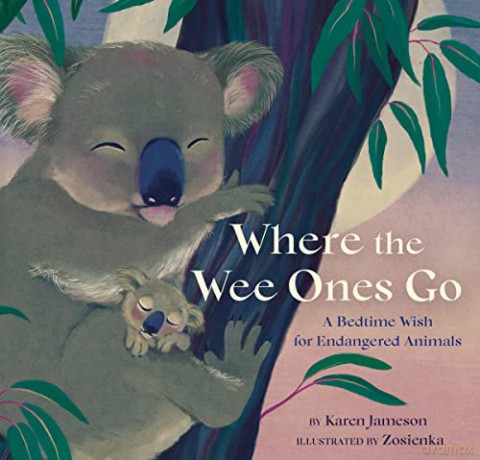 Where The Wee Ones Go - Karen Jameson [KSIĄŻKA]