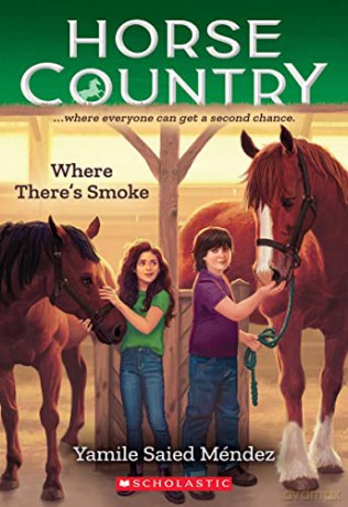 Where Theres Smoke - Yamile Saied Mendez [KSIĄŻKA]
