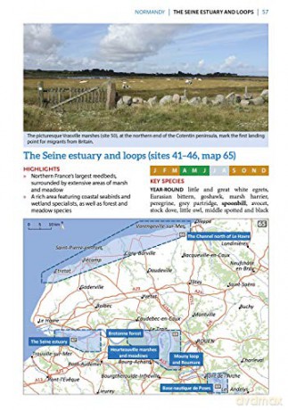 Where To Watch Birds In France [KSIĄŻKA]