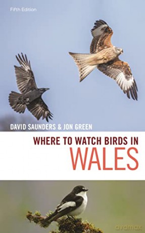 Where To Watch Birds In Wales - Saunders David [KSIĄŻKA]