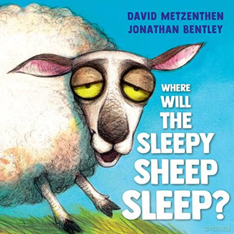 Where Will The Sleepy Sheep Sleep - Metzenthen David [KSIĄŻKA]