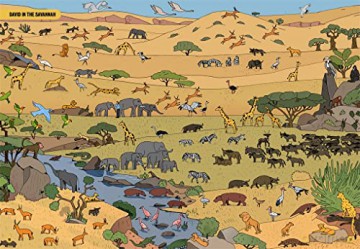 Wheres Attenborough - Maxim Usik [KSIĄŻKA]