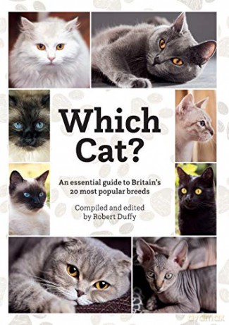 Which Cat - Robert Duffy [KSIĄŻKA]