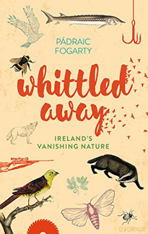 Whittled Away - Padraic Fogarty [KSIĄŻKA]