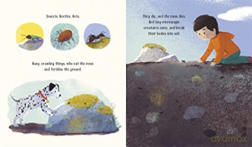 Who Makes A Forest - Sally Nicholls [KSIĄŻKA]