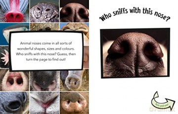 Who Sniffs With This Nose - Cari Meister [KSIĄŻKA]