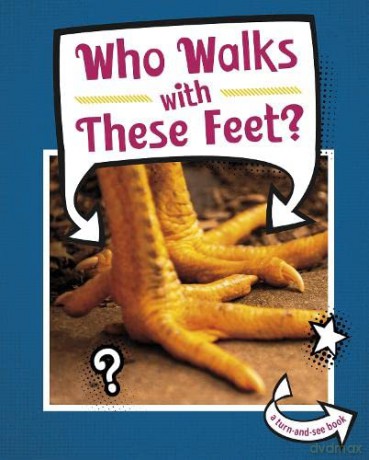 Who Walks With These Feet - Cari Meister [KSIĄŻKA]