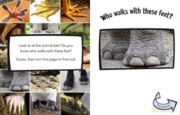 Who Walks With These Feet - Cari Meister [KSIĄŻKA]