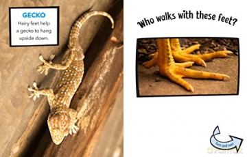 Who Walks With These Feet - Cari Meister [KSIĄŻKA]