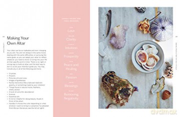 Whole Beauty - Shiva Rose [KSIĄŻKA]
