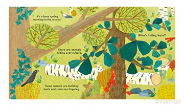 Whos Hiding In The Woods - Katharine Mcewen [KSIĄŻKA]