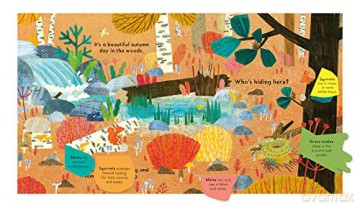 Whos Hiding In The Woods - Katharine Mcewen [KSIĄŻKA]
