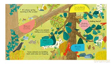 Whos Hiding In The Woods - Katharine Mcewen [KSIĄŻKA]