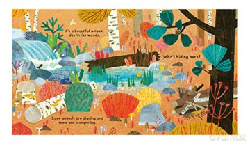 Whos Hiding In The Woods - Katharine Mcewen [KSIĄŻKA]