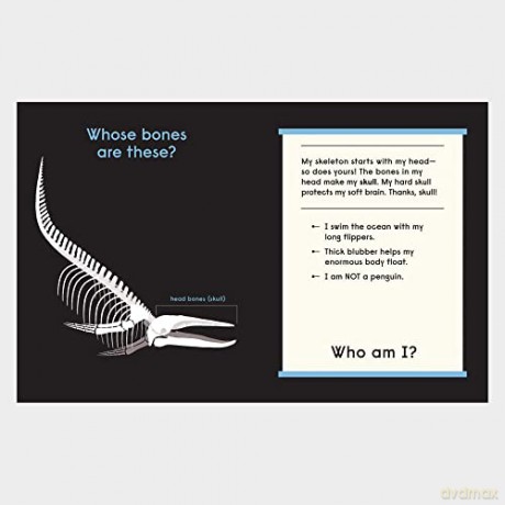 Whose Bones - Gabrielle Balkan [KSIĄŻKA]