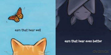 Whose Ears - Sue Tarsky [KSIĄŻKA]