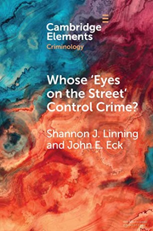 Whose Eyes On The Street Control Crim - Linning Shannon J. [KSIĄŻKA]