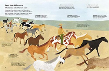 Why Cant Horses Burp - Nick Crumpton [KSIĄŻKA]
