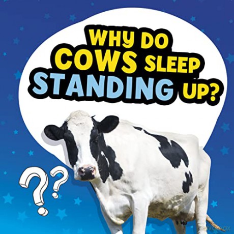 Why Do Cows Sleep Standing Up - Dickmann Nancy [KSIĄŻKA]