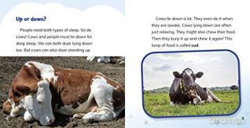 Why Do Cows Sleep Standing Up - Dickmann Nancy [KSIĄŻKA]