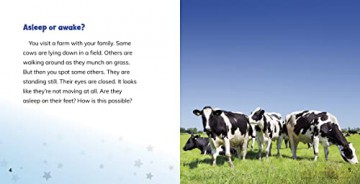 Why Do Cows Sleep Standing Up - Dickmann Nancy [KSIĄŻKA]