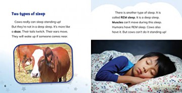 Why Do Cows Sleep Standing Up - Dickmann Nancy [KSIĄŻKA]