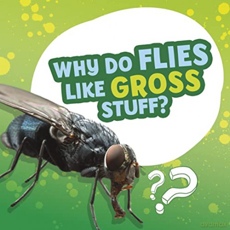 Why Do Flies Like Gross Stuff - Labrecque Ellen [KSIĄŻKA]