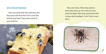 Why Do Flies Like Gross Stuff - Labrecque Ellen [KSIĄŻKA]