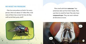 Why Do Flies Like Gross Stuff - Labrecque Ellen [KSIĄŻKA]
