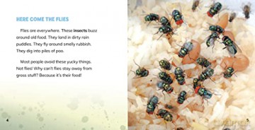 Why Do Flies Like Gross Stuff - Labrecque Ellen [KSIĄŻKA]