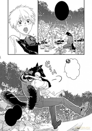 Why Dont You Eat Me My Dear Wolf - Ao Koishikawa [KSIĄŻKA]