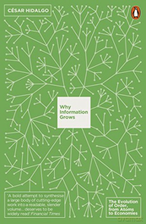 Why Information Grows - Hidalgo Cesar [KSIĄŻKA]