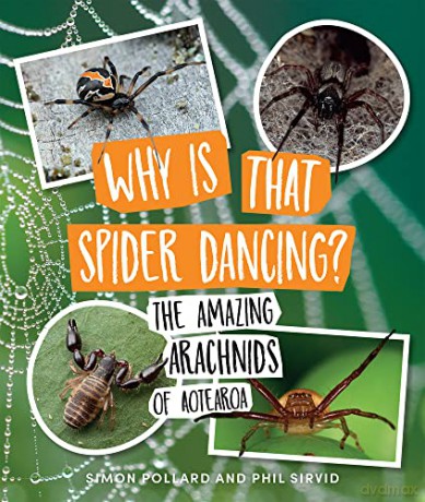 Why Is That Spider Dancing - Simon Pollard [KSIĄŻKA]