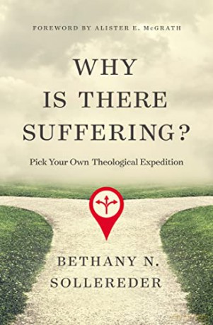 Why Is There Suffering - Sollereder Bethany [KSIĄŻKA]