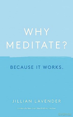 Why Meditate Because It Works - Jillian Lavender [KSIĄŻKA]
