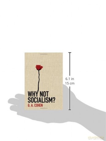 Why Not Socialism - Gerald Allen Cohen [KSIĄŻKA]
