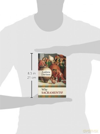 Why Sacraments - Andrew Davison [KSIĄŻKA]