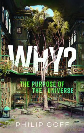 Why The Purpose Of The Universe - Philip Goff [KSIĄŻKA]