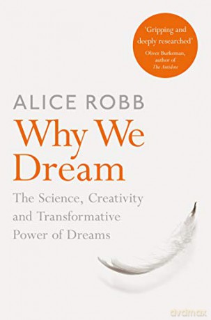 Why We Dream - Alice Robb [KSIĄŻKA]