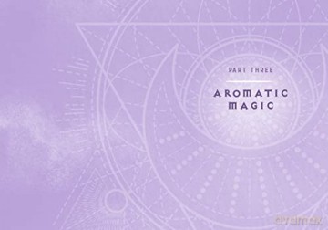 Wicca Essential Oils Magic - Lisa Chamberlain [KSIĄŻKA]