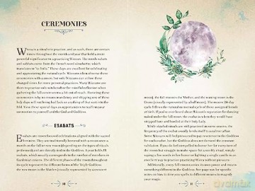 Wicca Magic Vol 17 - Agnes Hollyhock [KSIĄŻKA]