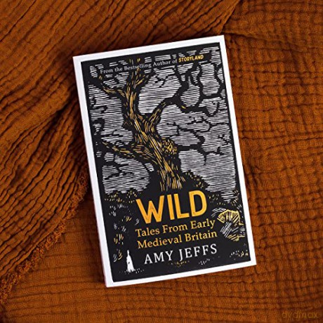 Wild - Amy Jeffs [KSIĄŻKA]