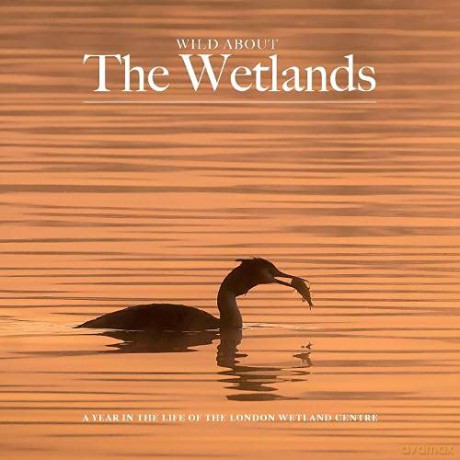Wild About The Wetlands - Andrew Wilson [KSIĄŻKA]