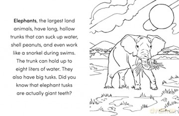 Wild Animal Book For Kids - Kat Henries-Meisner [KSIĄŻKA]