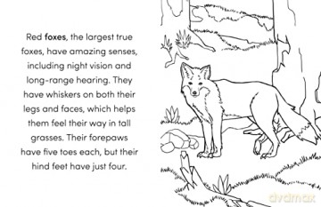 Wild Animal Book For Kids - Kat Henries-Meisner [KSIĄŻKA]