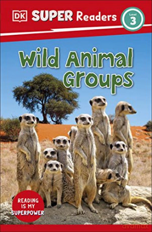 Wild Animal Groups Level 3 [KSIĄŻKA]